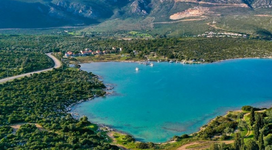 KARABURUN NERGİS ÇİÇEĞİ FESTİVALİ